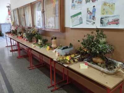 Учениците от 2 и 3 клас, заедно със своите родители, изработиха есенни икебани. С помощта на листенца, клонки, шишарки, кестени, орехи, камъчета, мидички, шипки, тикви и много други природни материали, те  осъществиха  разнообразните си идеи. - ОУ Васил Левски - Долни Луковит