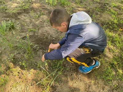 Учениците от клуб “Млад природолюбител” - ОУ Васил Левски - Долни Луковит